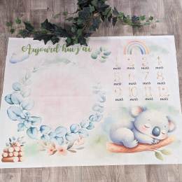 Tissu de L'atelier de Jess & Caro panneau couverture anniversaire charlie - 179