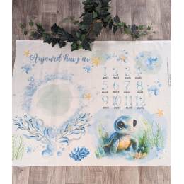 Tissu de L'atelier de Jess & Caro panneau couverture anniversaire poppy - 179