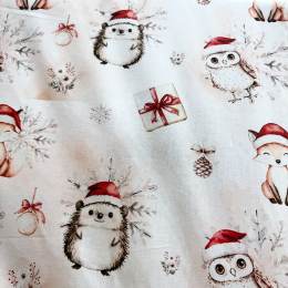 Tissu de L'atelier de Jess & Caro coton imprim&eacute; - loan No&euml;l - 179