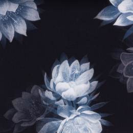 Tissu Liberty Fabrics Tana Lawn&reg; aurae - 34