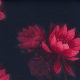 Tissu Liberty Fabrics Tana Lawn&reg; aurae - 34