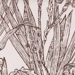 Tissu Liberty Fabrics Tana Lawn&reg; infinite irise - 34