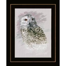Kit au point compté snowy owl - 4