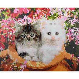 Ipaint & dot kit chats en pot de fleurs - 4