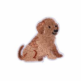 Thermocollant chien - 408