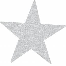 Thermocollant étoile (sachet de 1) 9 x 10 cm - 408