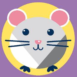 Kit soudan blanc hamster laine acrylique - 47