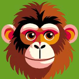 Kit soudan blanc singe - 47