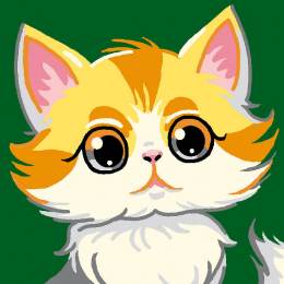 Kit soudan blanc chat - 47