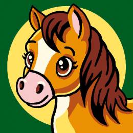 Kit soudan blanc poney - 47