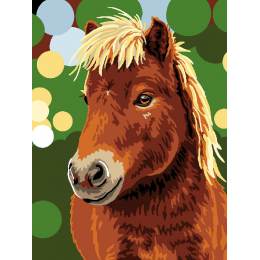 Kit canevas blanc poney - 47