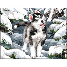 Canevas 45 x 65 cm - Petit chien husky dans la neige - 55
