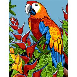 Canevas 45 x 65 cm - Perroquet, l'oiseau couleur - 55