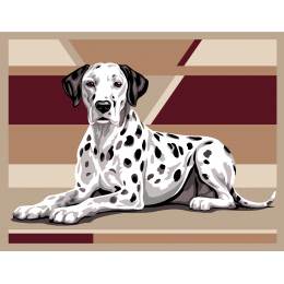 Canevas 65/80 - dalmacien - 55