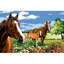 Canevas 75/110 - Les chevaux de la prairie - 55