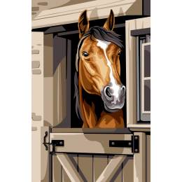 Canevas 75/110 - le box - 55