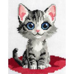 Kit point compté Chat angora - 55