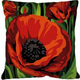 Kit coussin 40/40 Coquelicot - 55