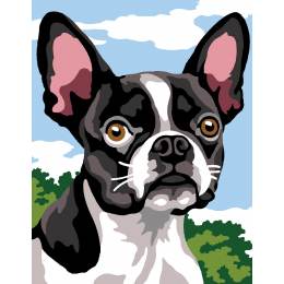 Kit canevas pénélope -bulldog - 55
